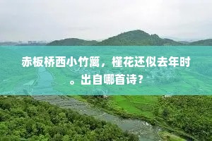赤板桥西小竹篱，槿花还似去年时。出自哪首诗？