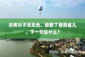 淡黄衫子浑无色，肠断丁香画雀儿。下一句是什么？