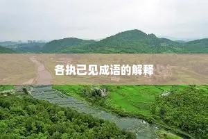 各执己见成语的解释