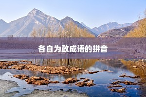 各自为政成语的拼音