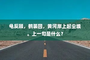 龟反顾，鹤裴回，黄河岸上起尘埃。上一句是什么？