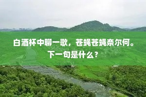 白酒杯中聊一歌，苍蝇苍蝇奈尔何。下一句是什么？