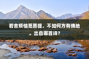 若舍烦恼觅菩提，不知何方有佛地。出自哪首诗？