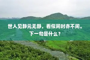 世人见静元无静，看似闲时亦不闲。下一句是什么？