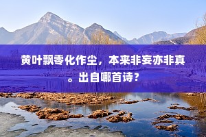 黄叶飘零化作尘，本来非妄亦非真。出自哪首诗？