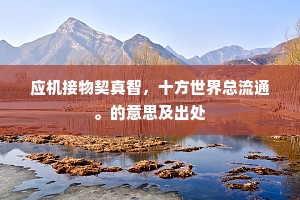 应机接物契真智，十方世界总流通。的意思及出处