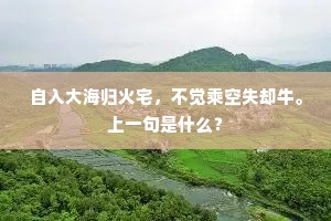 自入大海归火宅，不觉乘空失却牛。上一句是什么？