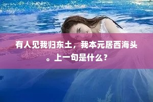 有人见我归东土，我本元居西海头。上一句是什么？