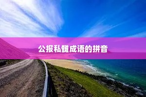 公报私雠成语的拼音