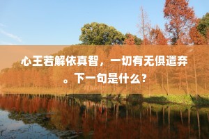 心王若解依真智，一切有无俱遣弃。下一句是什么？
