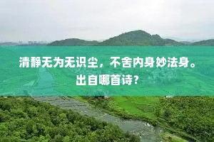 清静无为无识尘，不舍内身妙法身。出自哪首诗？