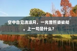 空中自见清凉月，一光普照婆娑彻。上一句是什么？