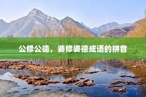 公修公德，婆修婆德成语的拼音