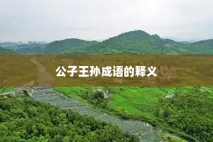 公子王孙成语的释义