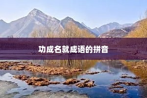 功成名就成语的拼音