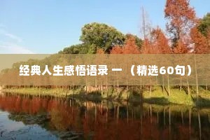 经典人生感悟语录 一 （精选60句）