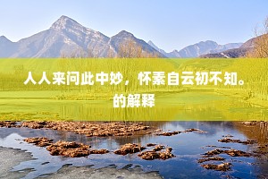 人人来问此中妙，怀素自云初不知。的解释