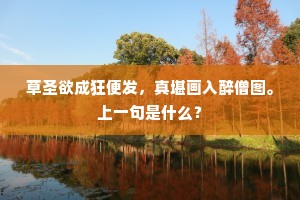 草圣欲成狂便发，真堪画入醉僧图。上一句是什么？