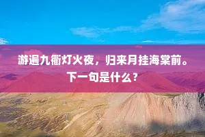 游遍九衢灯火夜，归来月挂海棠前。下一句是什么？