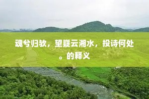 魂兮归欤，望嶷云湘水，投诗何处。的释义