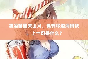 凄凉笛里关山月，憔悴吟边海树秋。上一句是什么？