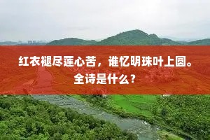 红衣褪尽莲心苦，谁忆明珠叶上圆。全诗是什么？