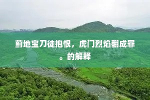 蓟地宝刀徒抱恨，虎门烈焰翻成罪。的解释