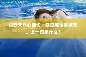 丹砂未熟心徒切，白日难留鬓欲苍。上一句是什么？