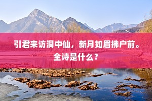 引君来访洞中仙，新月如眉拂户前。全诗是什么？