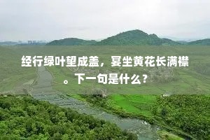 经行绿叶望成盖，宴坐黄花长满襟。下一句是什么？