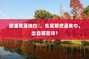 南浦菰蒲绕白蘋，东吴黎庶逐黄巾。出自哪首诗？