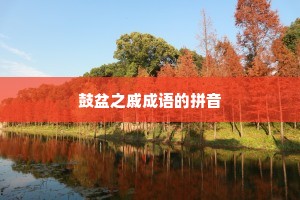 鼓盆之戚成语的拼音