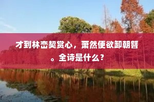 才到林峦契赏心，萧然便欲卸朝簪。全诗是什么？