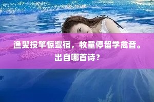 渔叟投竿惊鹭宿，牧童停留学禽音。出自哪首诗？