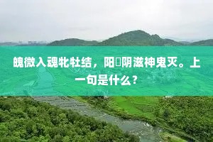 魄微入魂牝牡结，阳呴阴滋神鬼灭。上一句是什么？