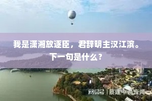 我是潇湘放逐臣，君辞明主汉江滨。下一句是什么？