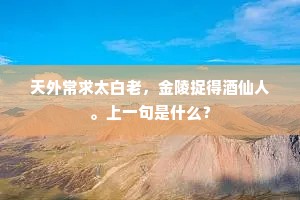 天外常求太白老，金陵捉得酒仙人。上一句是什么？