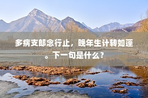 多病支郎念行止，晚年生计转如蓬。下一句是什么？