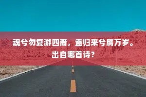 魂兮勿复游四裔，盍归来兮膺万岁。出自哪首诗？