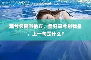魂兮勿复游他方，盍归来兮慰我皇。上一句是什么？