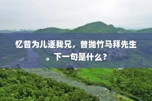 忆昔为儿逐我兄，曾抛竹马拜先生。下一句是什么？