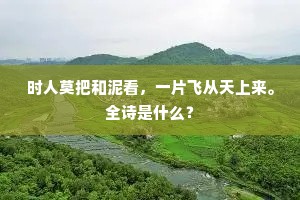 时人莫把和泥看，一片飞从天上来。全诗是什么？