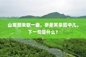 山简醉来歌一曲，参差笑杀郢中儿。下一句是什么？