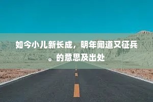 如今小儿新长成，明年闻道又征兵。的意思及出处