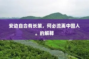 安边自合有长策，何必流离中国人。的解释