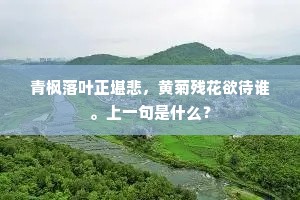 青枫落叶正堪悲，黄菊残花欲待谁。上一句是什么？