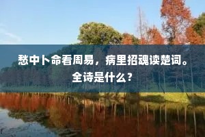 愁中卜命看周易，病里招魂读楚词。全诗是什么？
