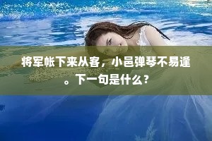 将军帐下来从客，小邑弹琴不易逢。下一句是什么？