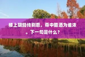 楼上胡笳传别怨，尊中腊酒为谁浓。下一句是什么？