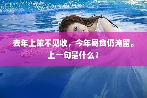 去年上策不见收，今年寄食仍淹留。上一句是什么？